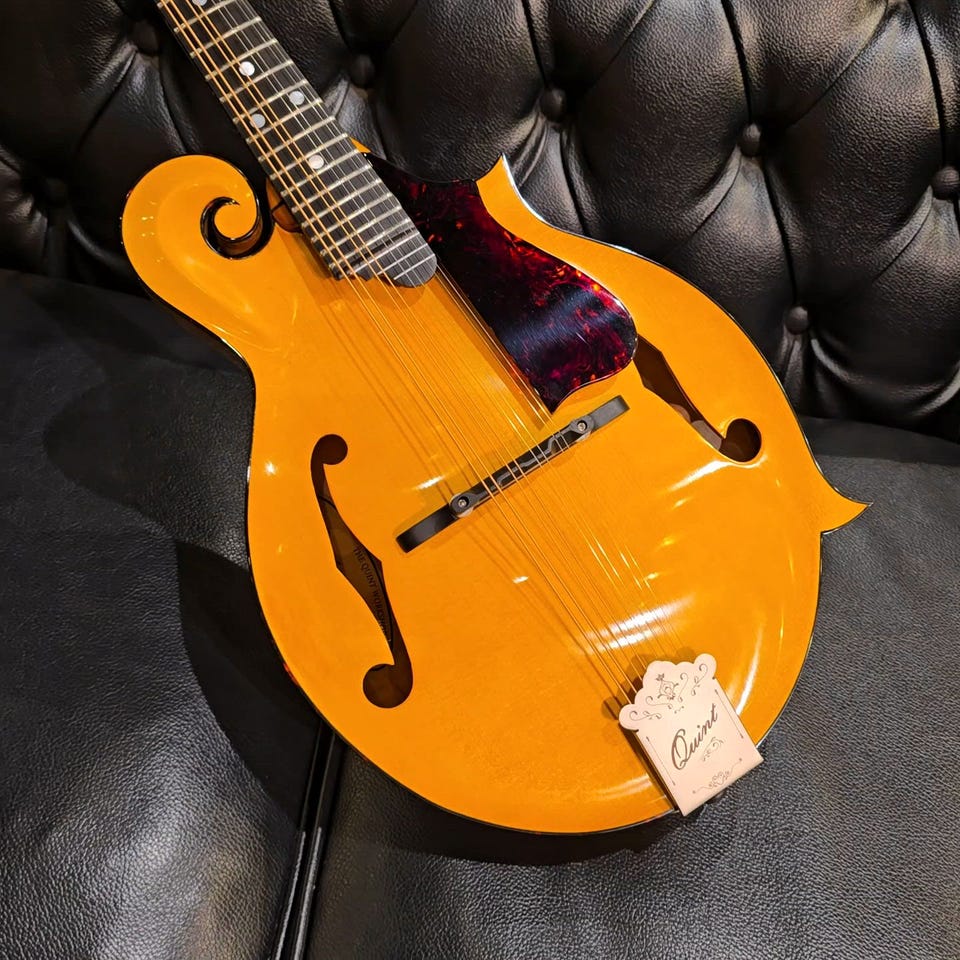 QT-F5 YN: Folk Stringed Instruments｜三木楽器公式通販サイト