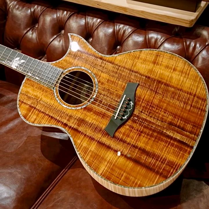 Grand Auditorium Custom -MIKI 200th Anniversary-: アコースティック