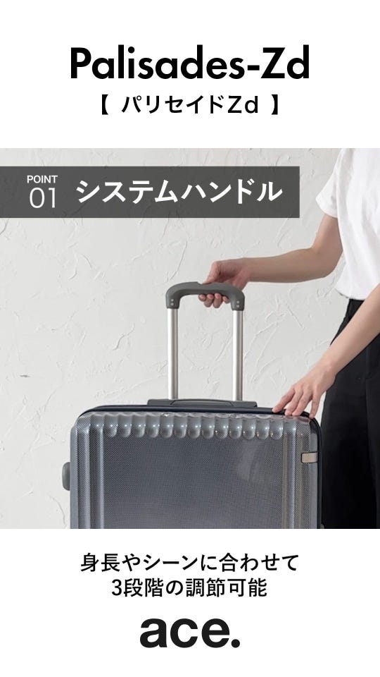 ace.／エース パリセイドZd エキスパンド機能 機内持ち込み 33L