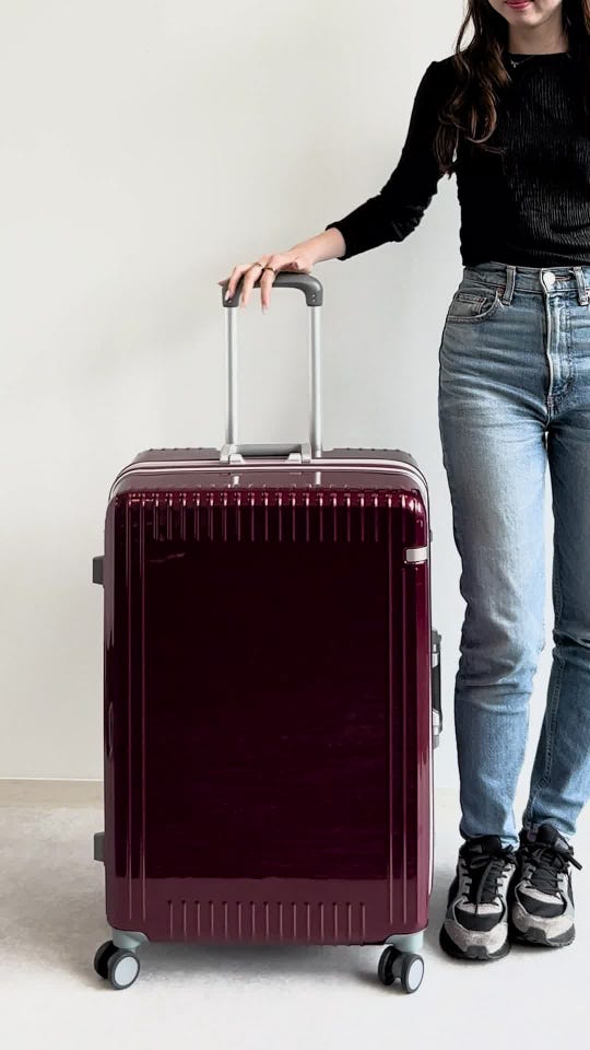 ace.／エース パリセイド3-F 05054 スーツケース フレーム 89L