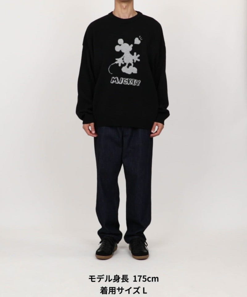 PUBLUX/別注 'DISNEY MICKEY MOUSE' SHADOW KNIT｜Daytona Park