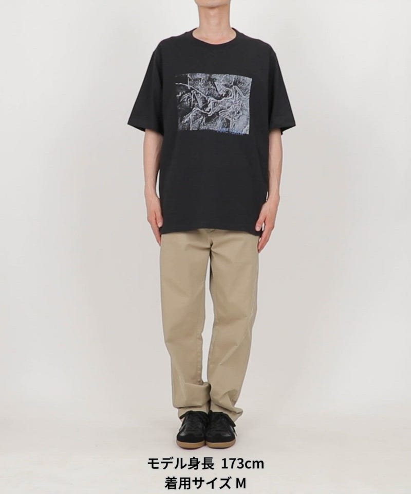 ARC'TERYX/販路限定 クラッグ コットン リトグラフィカ ショート