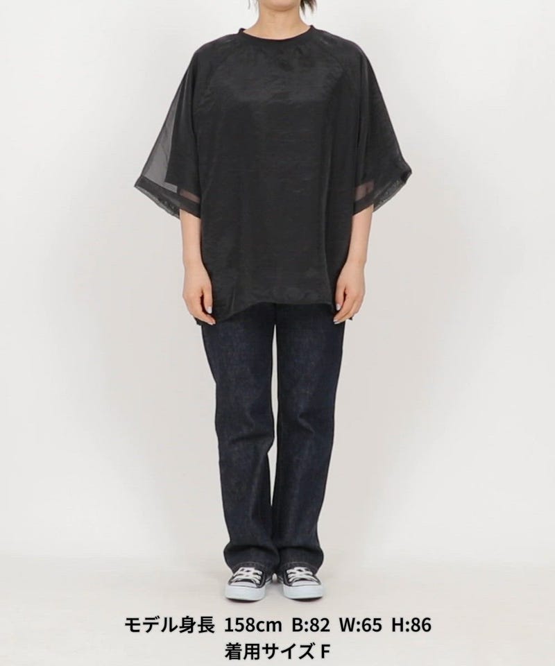 FREAK'S STORE/オーガンジー × カットソー 重ね ラグラン 半袖 Tシャツ
