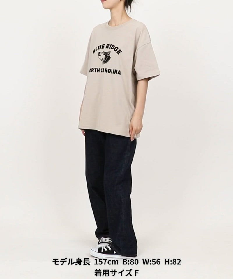 FREAK'S STORE/アニマル カレッジ 半袖 Tシャツ【限定展開】｜Daytona