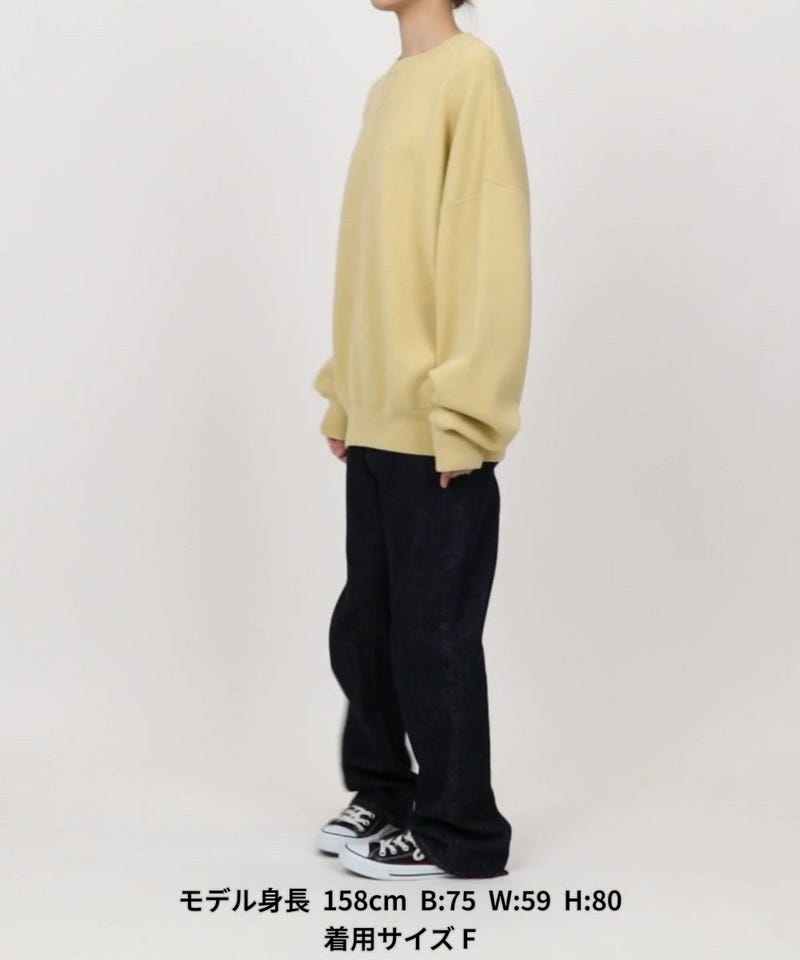 FREAK'S STORE/スウェット ライク プルオーバー【限定展開】｜Daytona