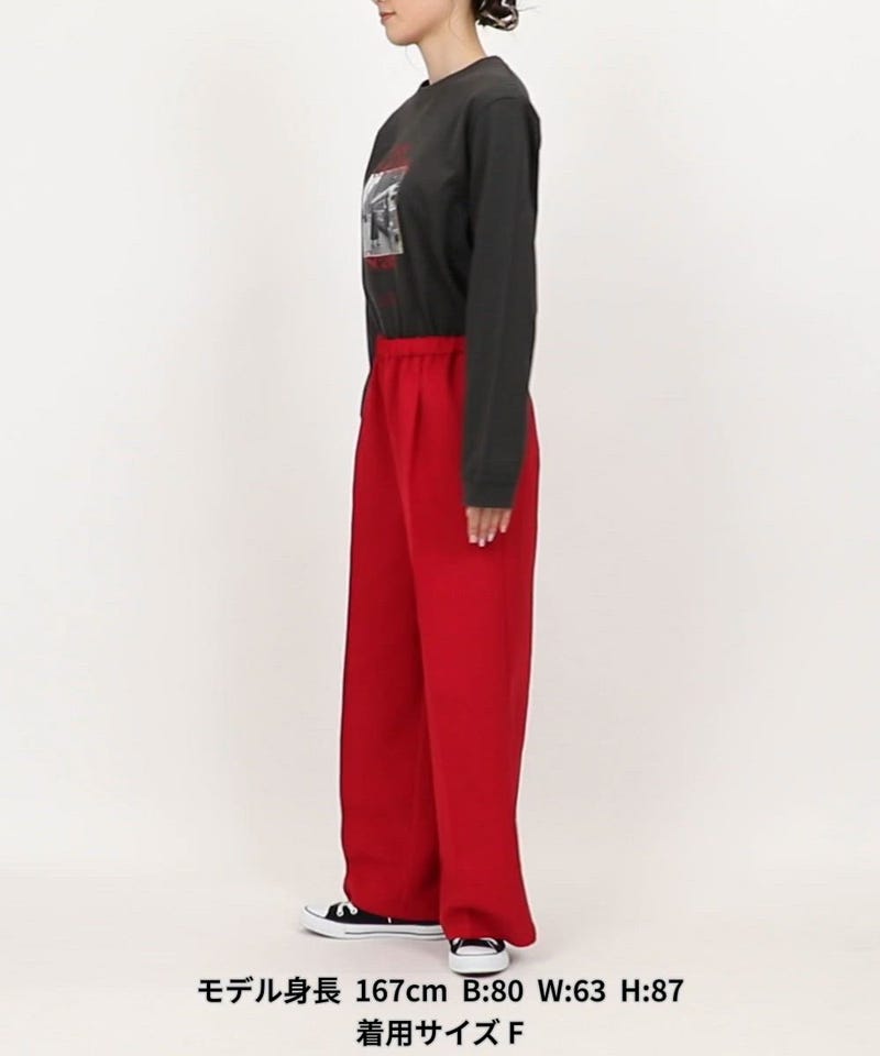 FREAK'S STORE/二重織 センタープレスパンツ｜Daytona Park(FREAK'S