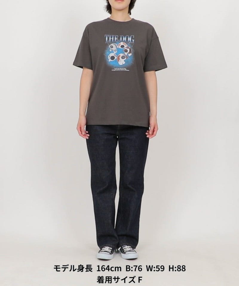 PUBLUX/THE DOG / バンド風 Tシャツ 限定展開｜Daytona Park(FREAK'S