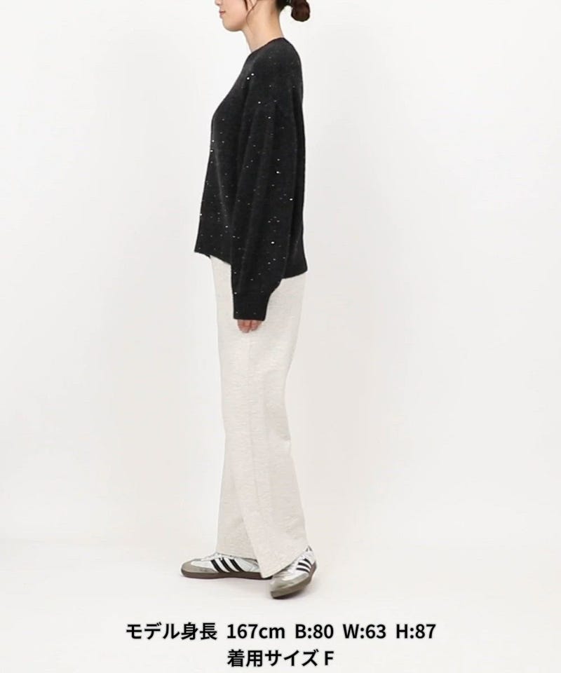 FREAK'S STORE/スパンコール ニットプルオーバー｜Daytona Park