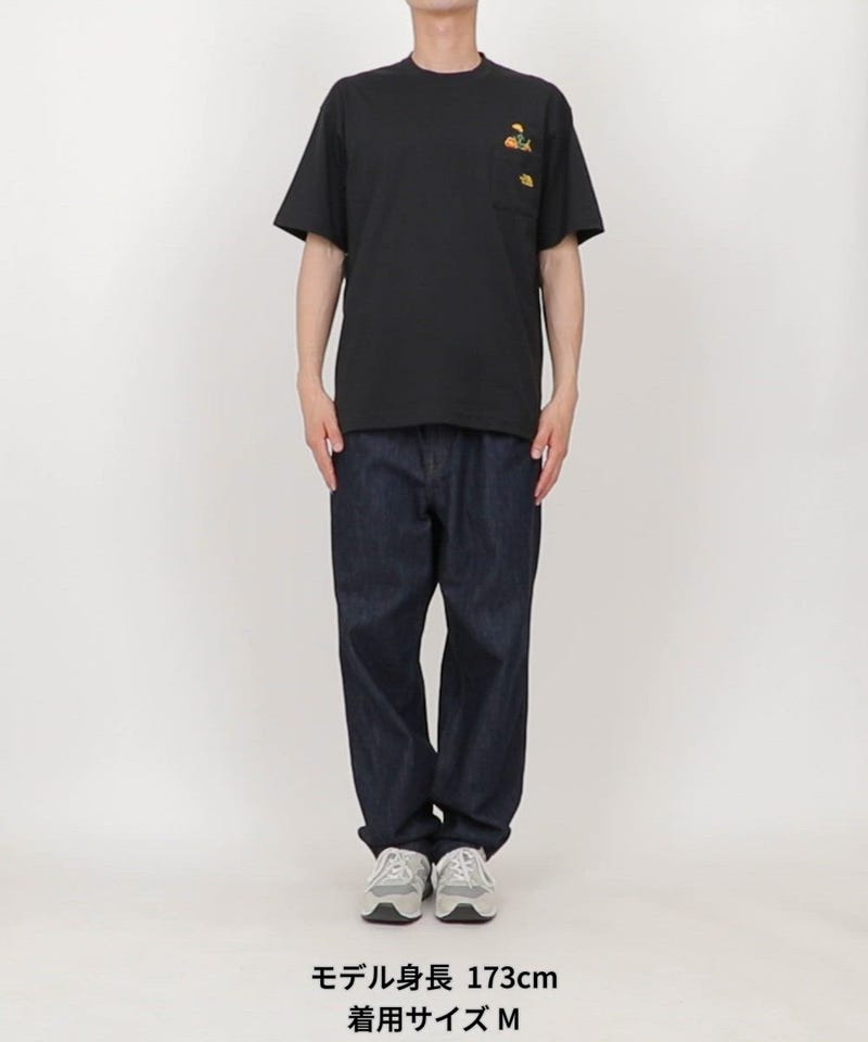 THE NORTH FACE/限定展開 ショートスリーブフラッシュドライフラワー