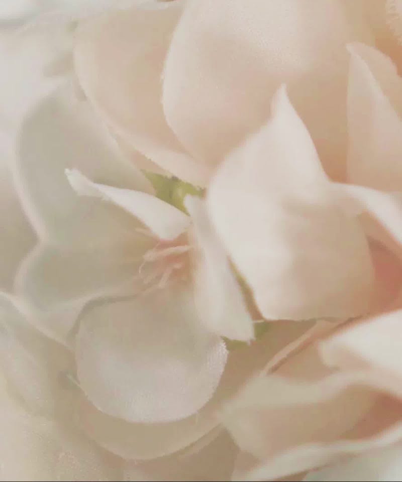 LUXURY ITEM】フラワーブーケミュールサンダルRANDA公式サイト