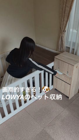 幅40] 犬用 ペット収納 キャスター付き スリムタイプ | 【公式】LOWYA