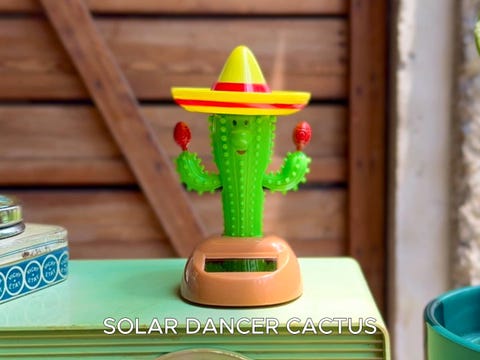 DULTON ONLINE SHOP | SOLAR DANCER CACTUS(CACTUS): インテリア雑貨