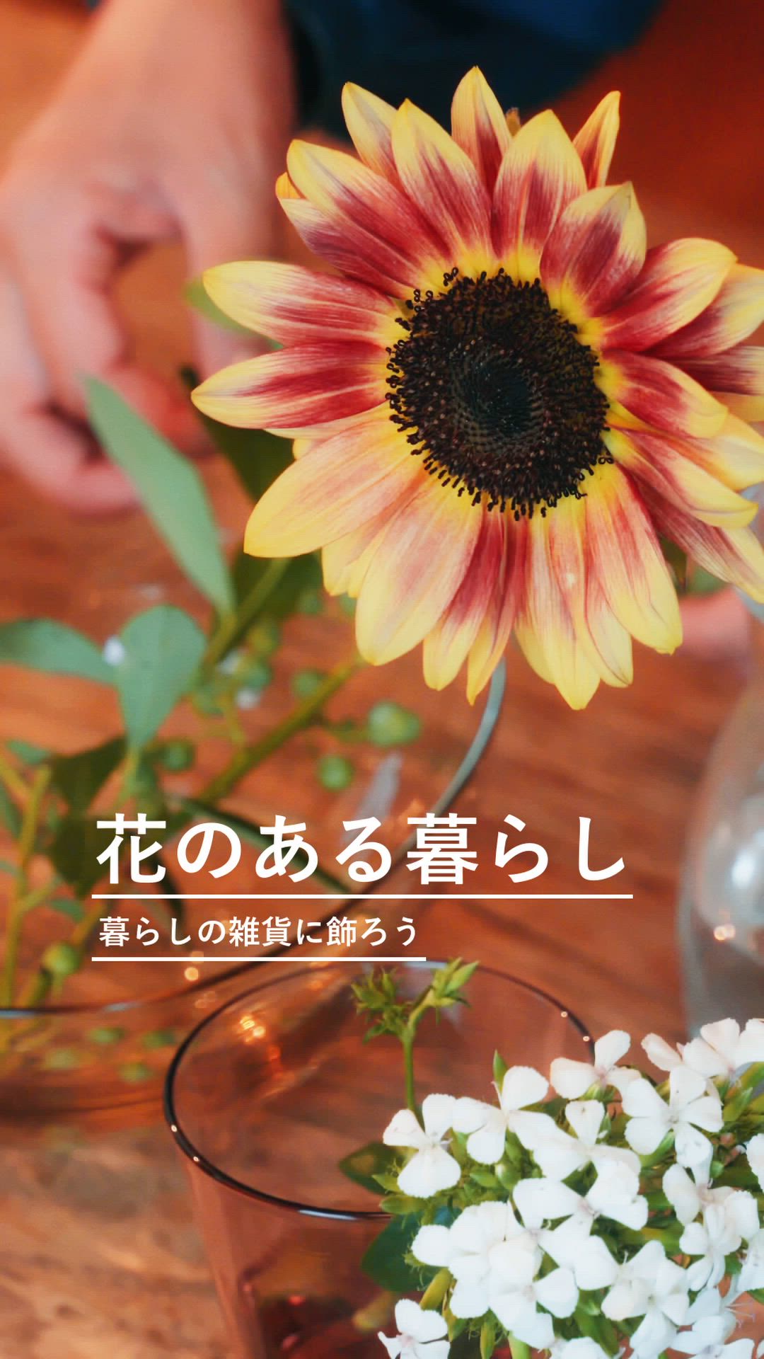 2024.07.22 UP | Ԃ̂炵 `炵̎G݂ɏ낤`