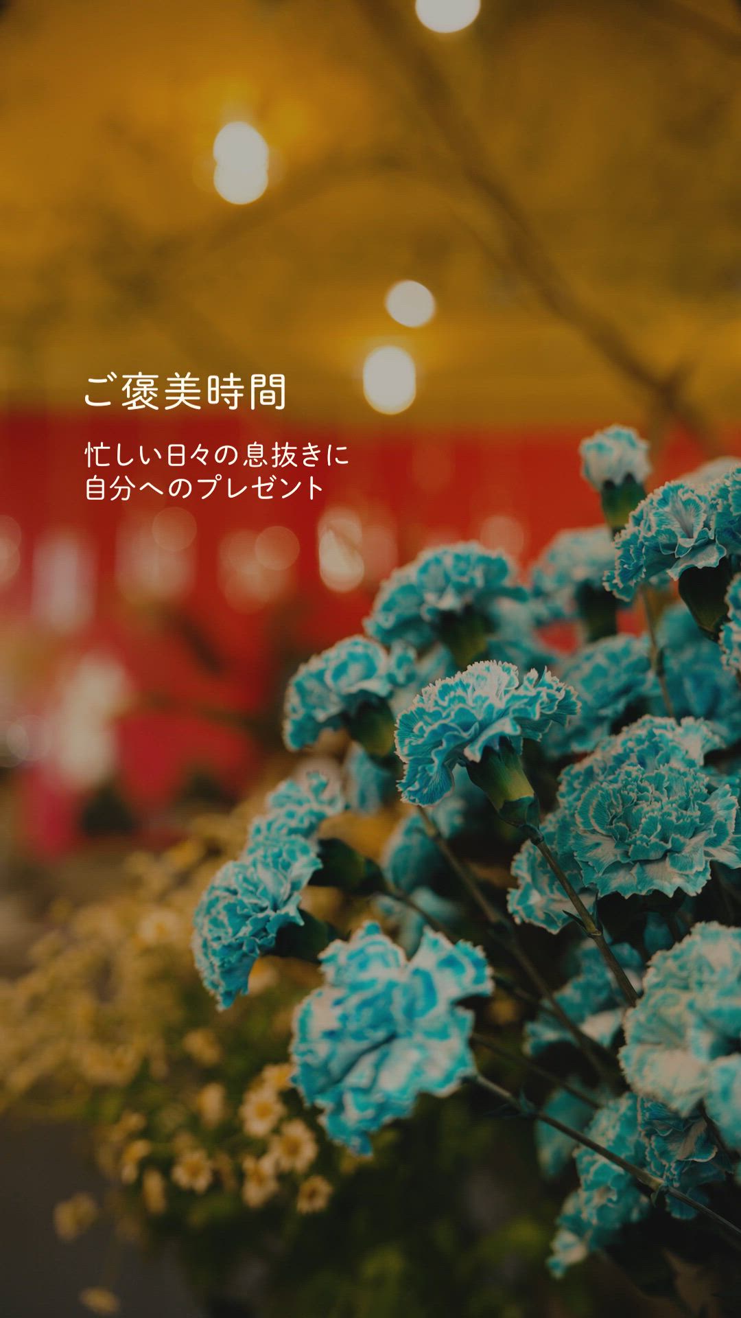 2025.06.11 UP | J ZX̑Ɏւ̃v[g