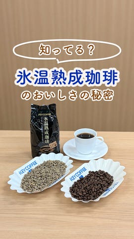 コーヒーの総合専門店】氷温熟成珈琲 粉 100g × 2袋: コーヒーを探す