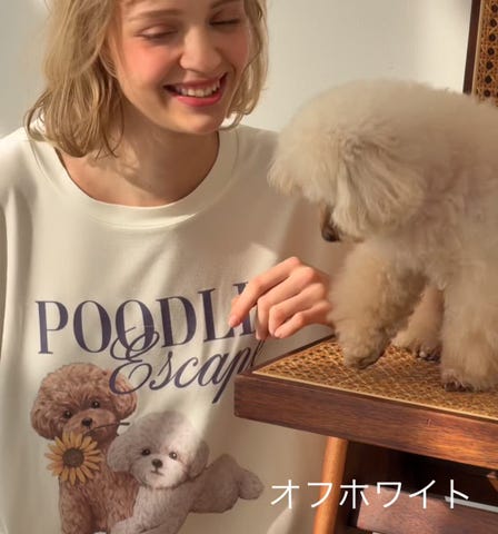 カットソーTシャツPUPPYPOODLEパジャマ(ワンサイズ オフ