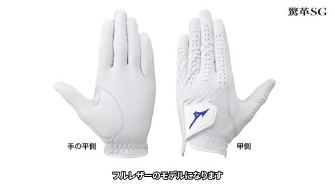 Mizuno Pro ホワイトレザーグローブ 手袋｜ゴルフ｜ミズノ公式オンライン