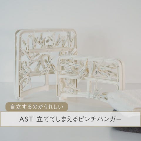 AST 立ててしまえるピンチハンガー 40個付き | 洗濯用品 | KEYUCA